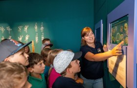 SONNENWELT, © Waldviertel Tourismus, Studio Kerschbaum SONNENWELT, © Waldviertel Tourismus, Studio Kerschbaum