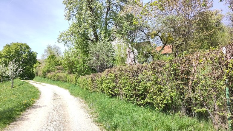Naturparadies am Sonntagberg, © Stiftner Naturparadies am Sonntagberg, © Stiftner