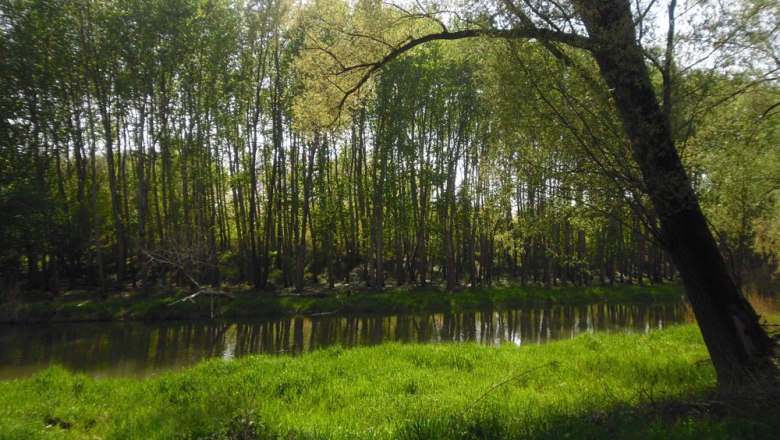 Stockerauer Au, © Stadtgemeinde Stockerau Stockerauer Au, © Stadtgemeinde Stockerau