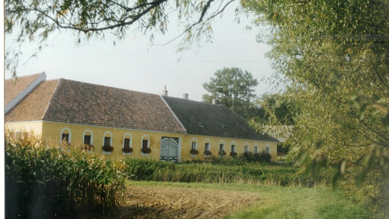 Camping Finsterhof, © Camping Finsterhof Ein gelbes Bauernhaus mit Blumen in den Fenstern, umgeben von Bäumen und Feldern.