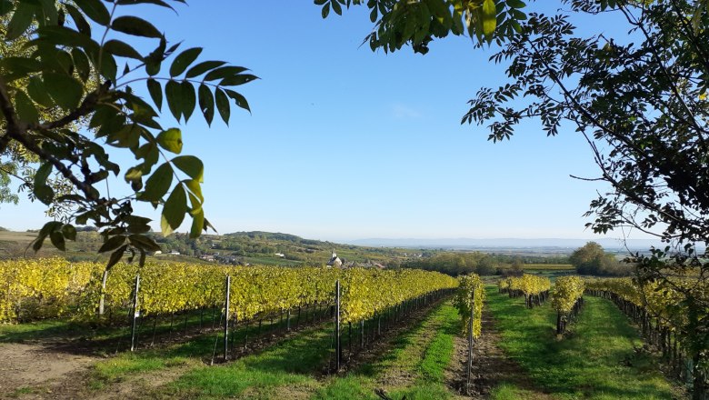 Mordthal Aussicht, © Verena Schnatter Mordthal Aussicht, © Verena Schnatter