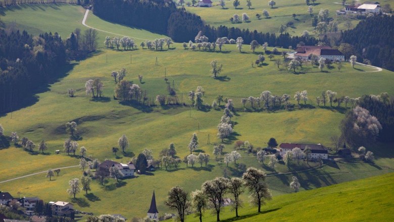 Fotopunkt Mostviertel, © schwarz-koenig.at Fotopunkt Mostviertel, © schwarz-koenig.at