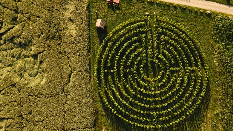 Genussrastplatz beim Weingartenlabyrinth, © Michael Reidinger Genussrastplatz beim Weingartenlabyrinth, © Michael Reidinger