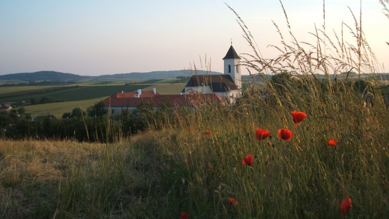 Romanische Kirche Gaubitsch, © Gemeinde Gaubitsch Landschaft mit romanischer Kirche in Gaubitsch, umgeben von Feldern und Mohnblumen.