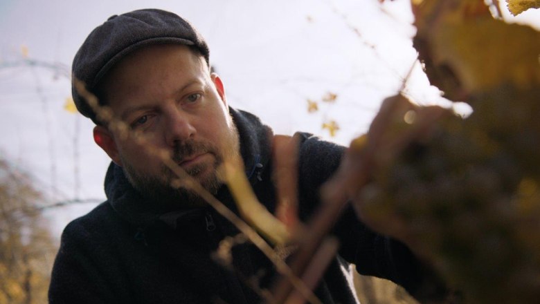 Winzer Mike Nährer, © Winzer Mike Nährer Winzer Mike Nährer, © Winzer Mike Nährer