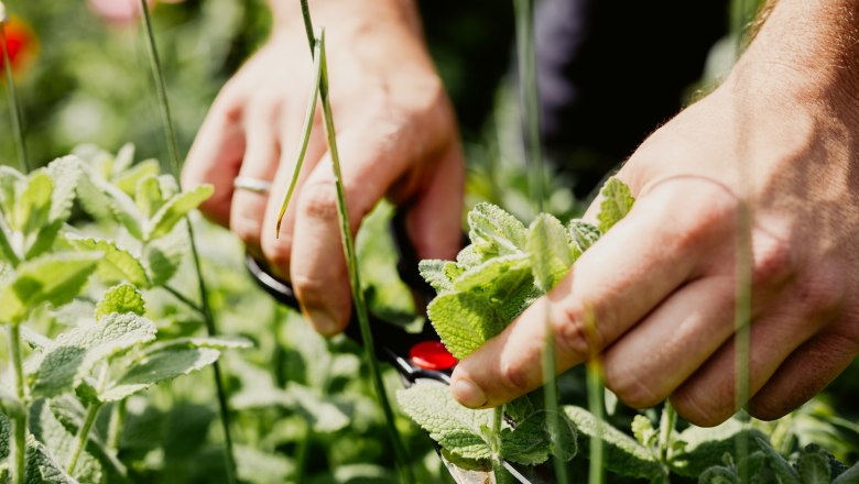 Gasthof Hoffmann, Deutsch-Haslau, © Lisa Maria Köck Fotografie Gasthof Hoffmann, Deutsch-Haslau, © Lisa Maria Köck Fotografie