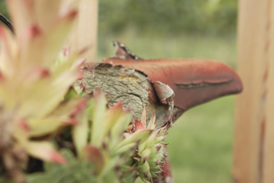 Auf die Sättel, fertig, los! , © We Make Stories Auf die Sättel, fertig, los! , © We Make Stories