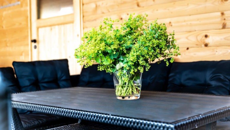 Laube, © Hanifoto.at HANI OTTLIK Laube, © Hanifoto.at HANI OTTLIK