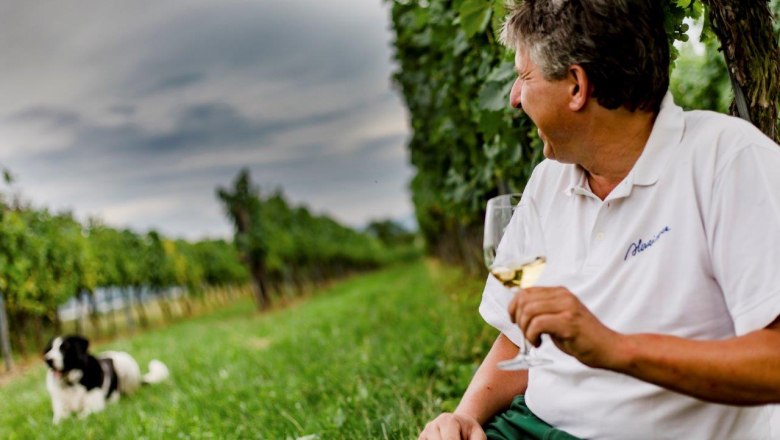 Weingut Herzinger, © schwarz-koenig.at Weingut Herzinger, © schwarz-koenig.at