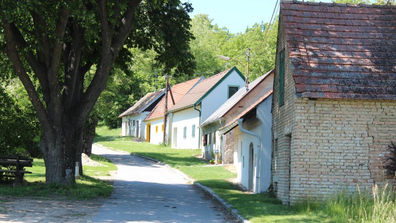 Stillfried Kellergasse, © Weinviertel Tourismus Eine malerische Kellergasse mit traditionellen Weinkellern und einem großen Baum im Vordergrund.
