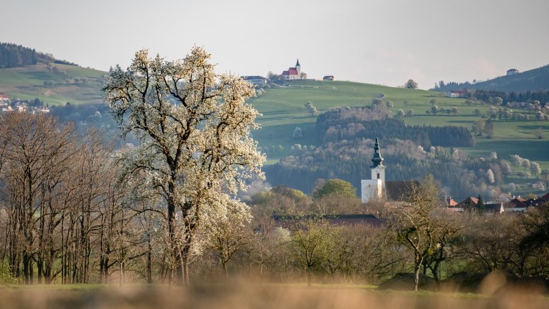 Blick auf St. Peter und St. Michael, © Uschi Wolf Blick auf St. Peter und St. Michael, © Uschi Wolf