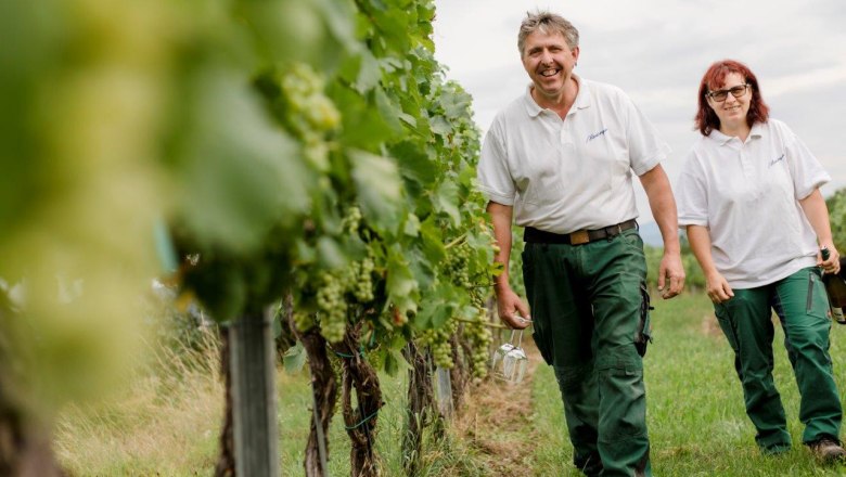 Weingut Herzinger, © schwarz-koenig.at Weingut Herzinger, © schwarz-koenig.at