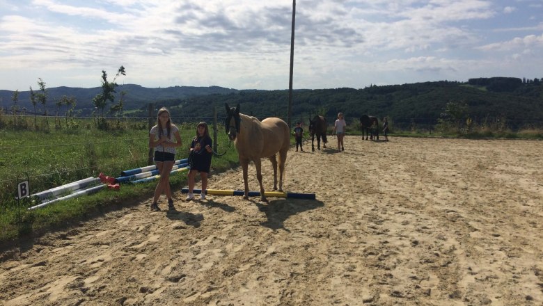 Pferde am 3er Hof, © 3er Hof Pferde am 3er Hof, © 3er Hof