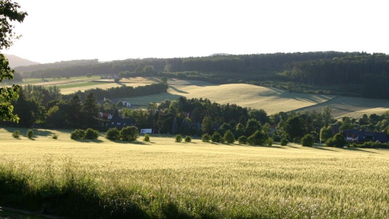 Gaaden, © Gemeinde Gaaden Landschaft mit Feldern, Bäumen und Häusern im Hintergrund.