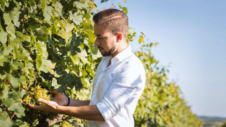 Manuel Tanzberger, © Weingut Tanzberger Ein Mann in einem Weinberg hält eine Traube in den Händen.