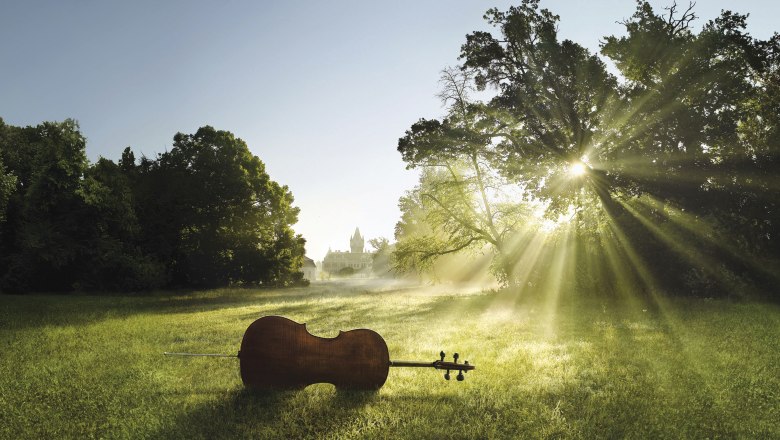 Grafenegg, © Alexander Haiden Ein Cello liegt auf einer Wiese im Sonnenlicht, im Hintergrund ist ein Schloss zu sehen.