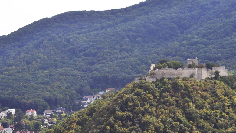 Blick auf den Schlossberg Hainburg, © Donau Niederösterreich, Steve Haider Blick auf die Ruine auf dem Schlossberg Hainburg, umgeben von bewaldeten Hügeln.
