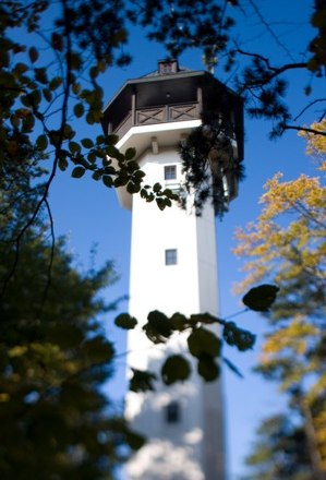 Jubiläumswarte Berndorf, © Stadtgemeinde Berndorf Ein weißer Aussichtsturm ragt in den blauen Himmel, umgeben von Bäumen mit Herbstlaub.