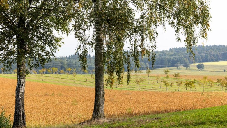 NUSSLAND, die Nussknacker die veredeln, © Theo Kust NUSSLAND, die Nussknacker die veredeln, © Theo Kust