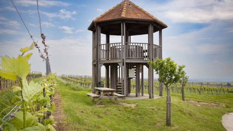 KWTD Aussichtswarte Fels am Wagram, © Donau Niederösterreich, Barbara Elser KWTD Aussichtswarte Fels am Wagram, © Donau Niederösterreich, Barbara Elser