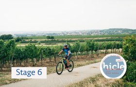 Weinviertler Weingärten, © Weinviertel Tourismus / Gollner Weinviertler Weingärten, © Weinviertel Tourismus / Gollner