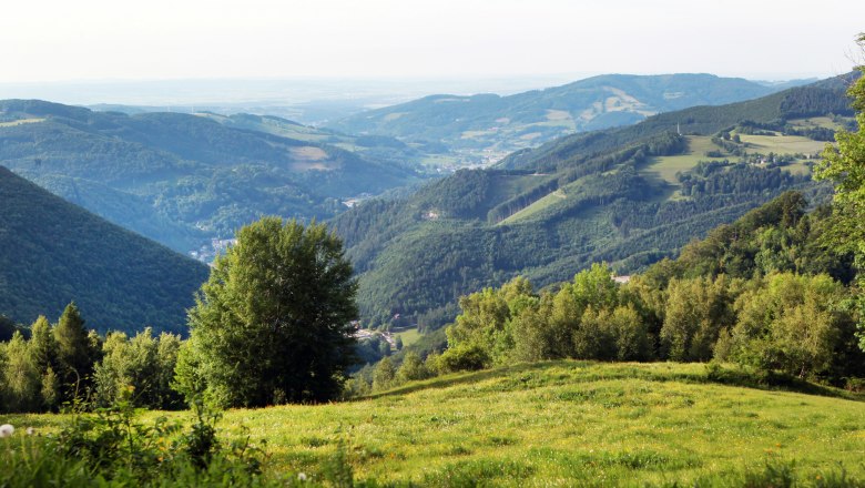 Ausblick vom Muckenkogel, © weinfranz.at Panoramablick vom Muckenkogel auf grüne Hügel und Täler.
