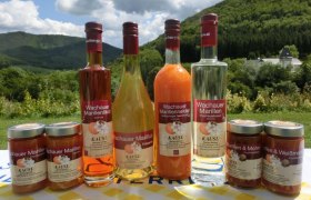 Marillensortiment beim Kausl, © Marillenhof Kausl Marillensortiment beim Kausl, © Marillenhof Kausl