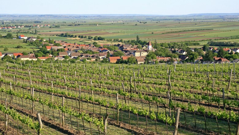 Heiliger Stein Aussicht, © Wolfgang Gerzer Weinberge mit Dorf im Hintergrund und weitem Blick über die Landschaft.