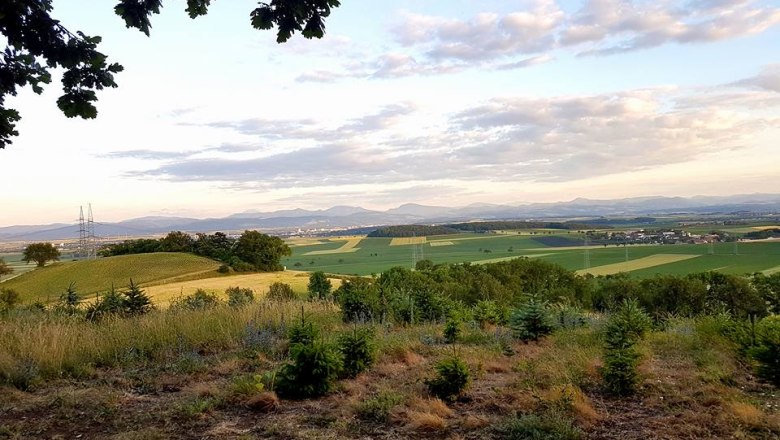 Aussicht von der Heimkehrerkapelle, © christbaumerlebniswald.at Aussicht von der Heimkehrerkapelle, © christbaumerlebniswald.at