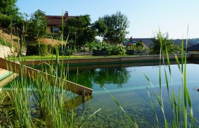 Schwimmteich, © Karin Ruthner Schwimmteich, © Karin Ruthner