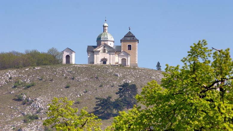 Heiliger Berg, © Turistické informacní centrum Mikulov Kirche auf einem Hügel mit Bäumen im Vordergrund.