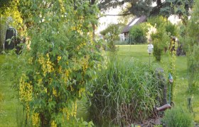 Wieselmayer, © Familie Wieselmayer Garten mit grünen Pflanzen und Wiese