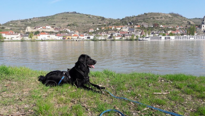 Treppelweg mit Blick auf Stein, © Gabriele Glatzenberger/www.spirits-of-life.at Treppelweg mit Blick auf Stein, © Gabriele Glatzenberger/www.spirits-of-life.at