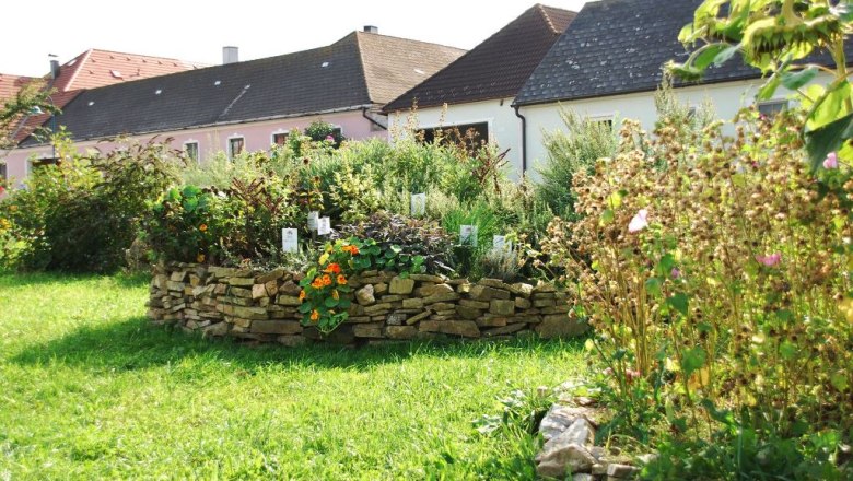 kraeuterbeet_2_klein__kraeuterdorf_merkenbrechts, © Kräuterdorf Merkenbrechts Kräuterbeet mit Steinmauer in einem Garten vor Häusern.