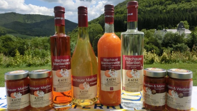 Marillensortiment beim Kausl, © Marillenhof Kausl Marillensortiment beim Kausl, © Marillenhof Kausl