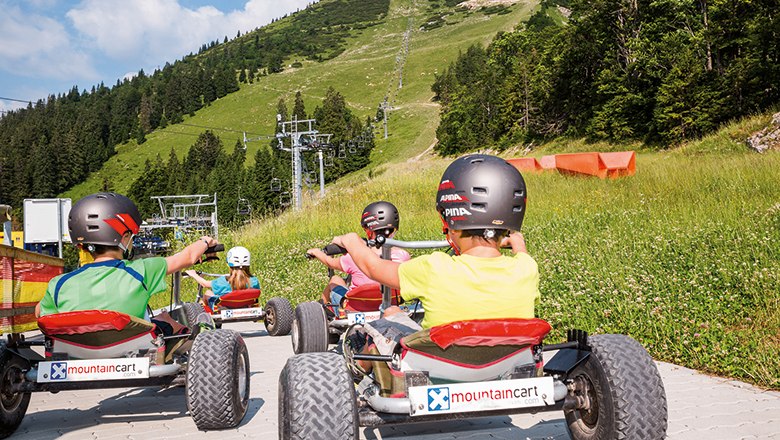 Personen fahren mit Mountaincarts einen Hügel hinunter.