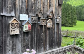 Insektenhotels an Holzwand im Kräutergarten Kanlehen.