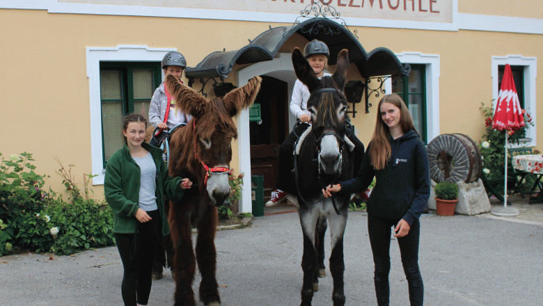 Gasthaus & Ponyhof Holzm&uuml;hle, &copy; Birgit Taxb&ouml;ck