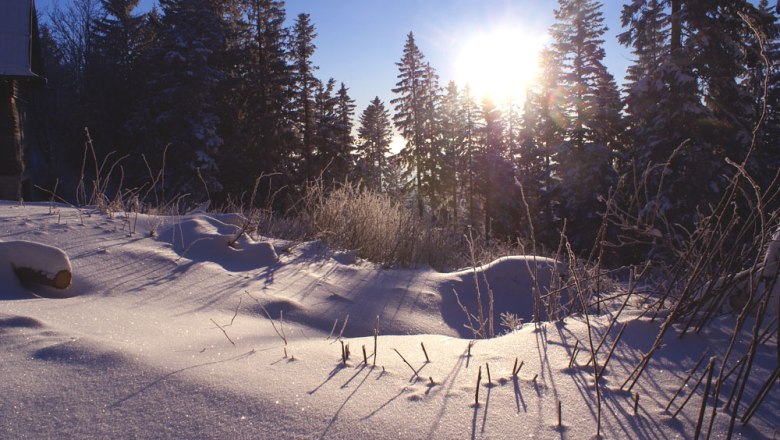 Verschneite Landschaft bei Sonnenaufgang mit B&auml;umen im Hintergrund.