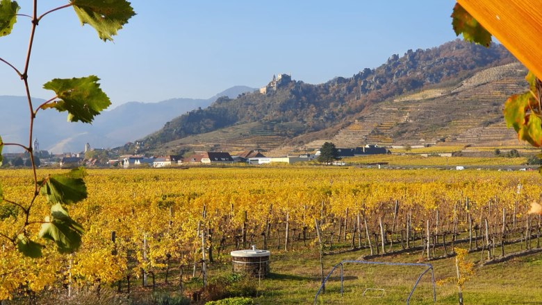 Blick auf die Ruine, &copy; Emmerich Granner