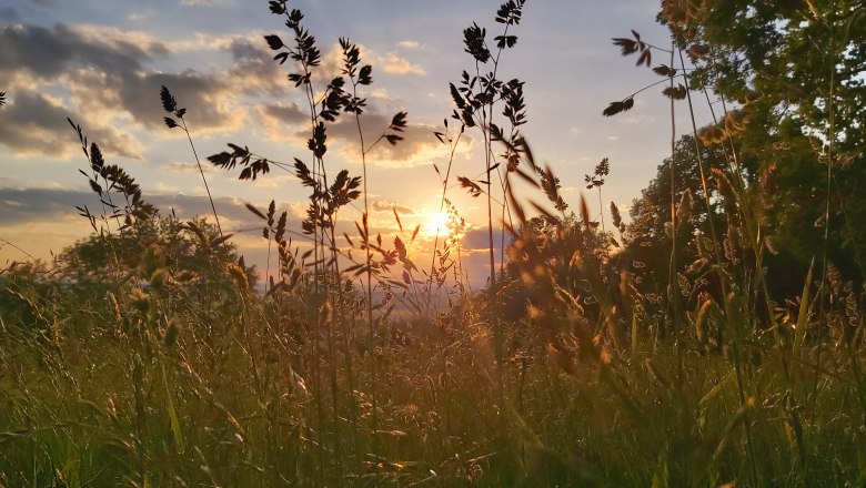 Abendstimmung, &copy; Familie Weinbacher