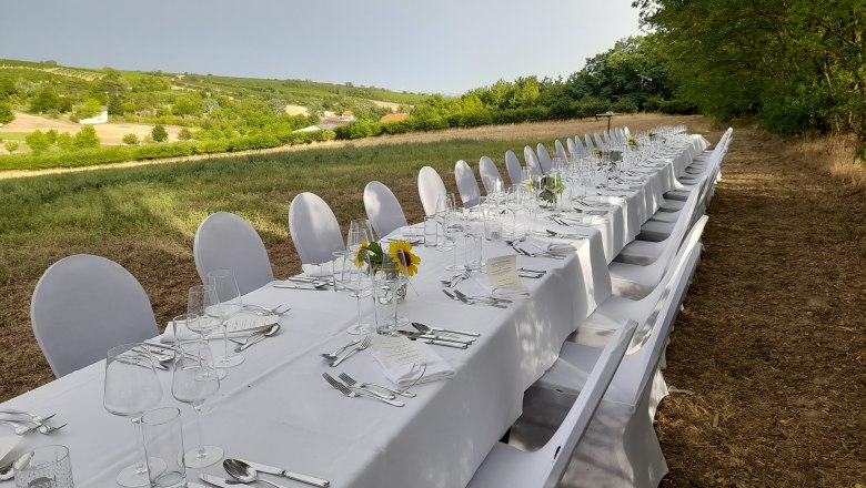 Lange, elegant gedeckte Tafel im Freien mit wei&szlig;en Tischdecken und St&uuml;hlen, umgeben von Natur.