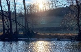 Sonnenuntergang hinter B&auml;umen am Waldrand mit einem Fluss im Vordergrund.