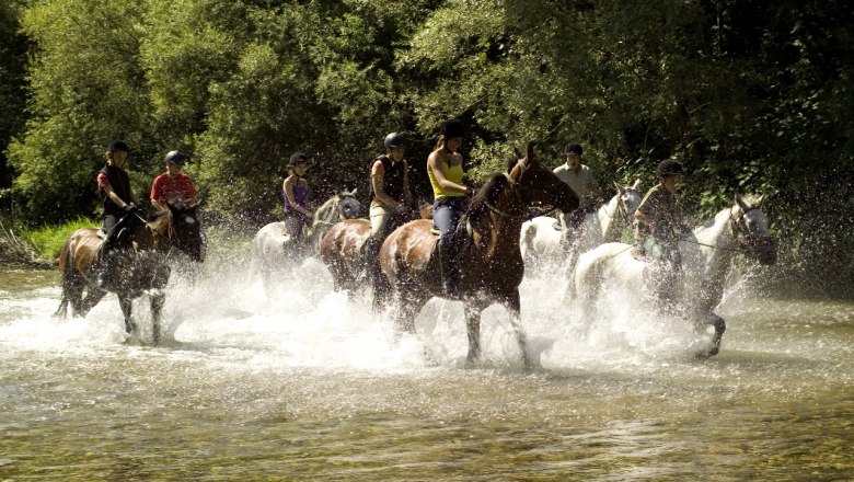 Tierwelt aus der N&auml;he betrachten, &copy; Wildpark Hochriess Distelberger