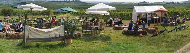 Menschen sitzen auf Heuballen und an Tischen in einem Weinberg mit Sonnenschirmen und Zelten.