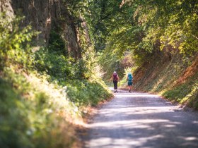 Themenweg "Natur und Stein" und Themenweg "Löss und Wein", © Wachau-Nibelungengau-Kremstal