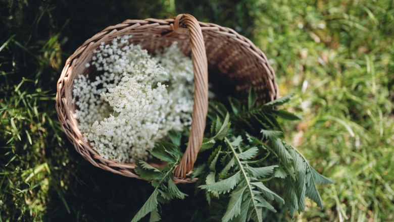 Kr&auml;utergarten Wohlbehagen, &copy; Moststra&szlig;e, dochbodnliacht
