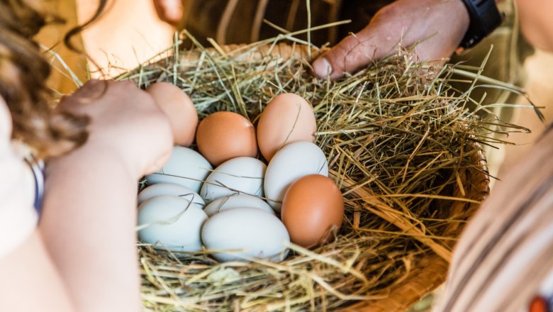pension-kobichl_eier-im-korb, &copy; Fred Lindmoser