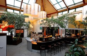 Innenansicht eines modernen Fitnesscenters mit Bar und Pflanzen.