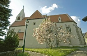Pfarrkirche Maria Himmelfahrt mit bl&uuml;hendem Baum im Vordergrund.